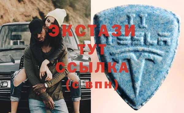 гидра Гусев
