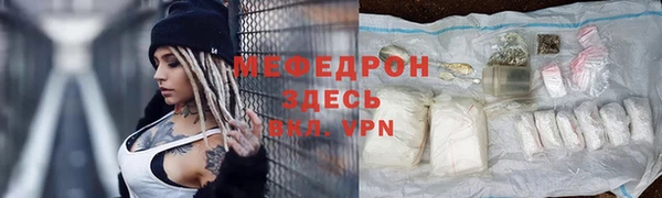 гидра Гусев