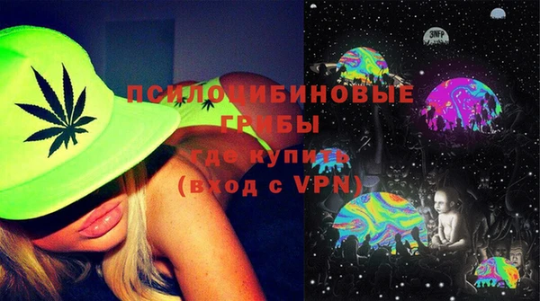 гидра Гусев