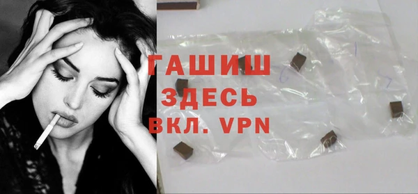 гидра Гусев