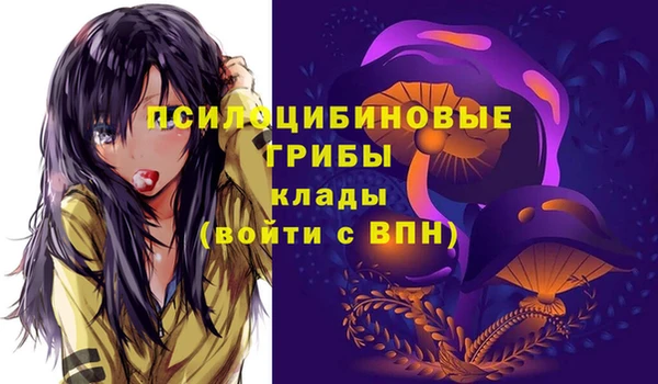 гидра Гусев