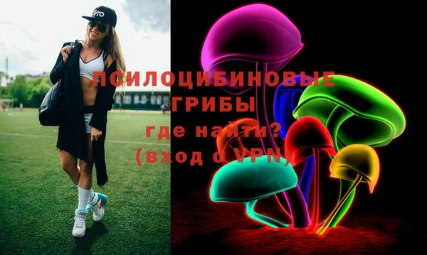 гидра Гусев