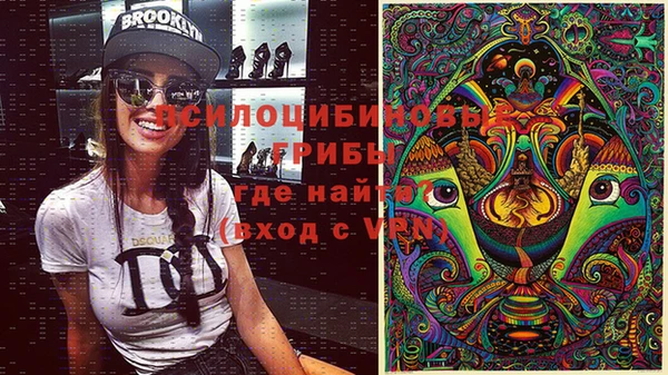 прущие крисы Гусь-Хрустальный