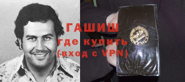 гидра Гусев