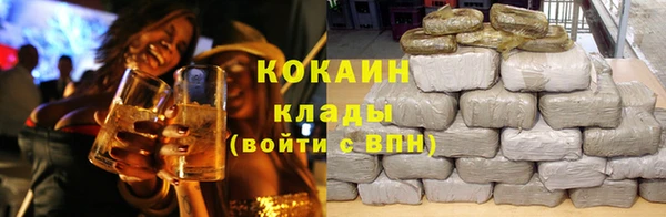 гидра Гусев