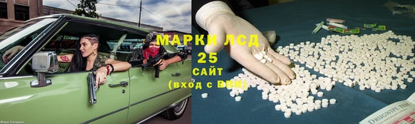 гидра Гусев