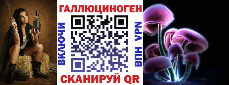Псилоцибиновые грибы Psilocybe  закладка  Ермолино 
